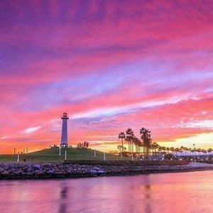 Meet your Posher, Alisha